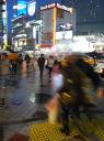 shibuya at night