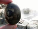 Kuro Tamago