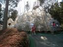 Freiluftmuseum_Hakone5