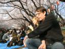 Ueno Hanami
