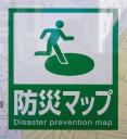 disaster