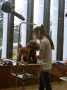 Hunde Friseur