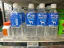 Hunde Wasser