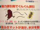 kakihaus3