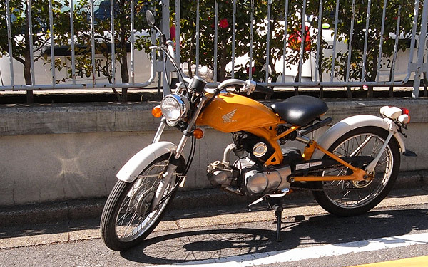 lightorange