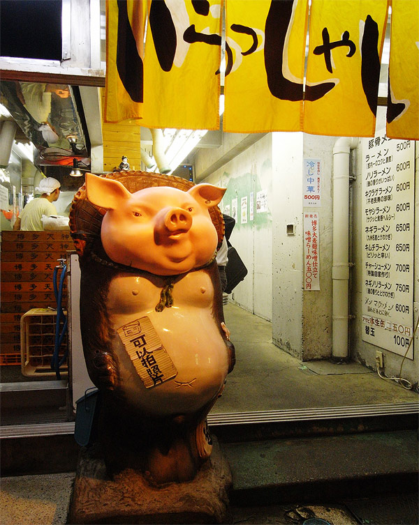 pig