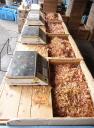 fisch hobel