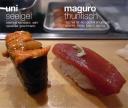 uni maguro