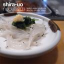 shira-uo